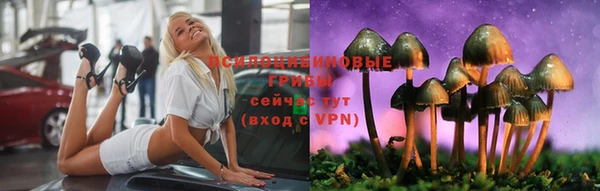 молекула духа Верея