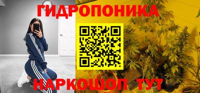 apvp Вязьма
