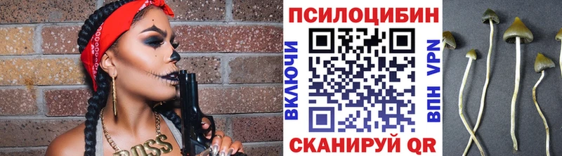 Галлюциногенные грибы Magic Shrooms как найти Мончегорск