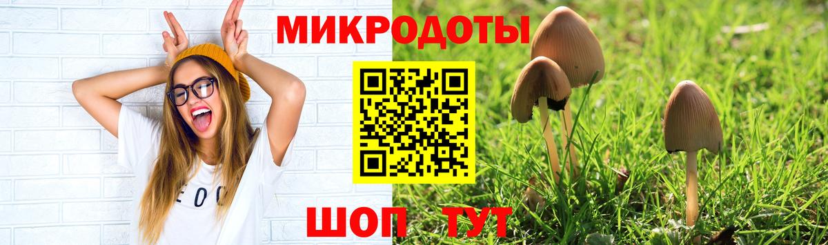 Галлюциногенные грибы Psilocybine cubensis  Вход с VPN  Галлюциногенные грибы Psilocybe  где найти   Мончегорск 