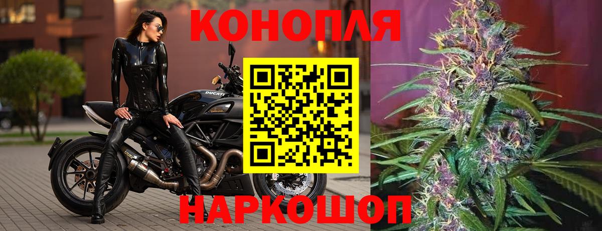 Бошки марихуана конопля  Конопля Bruce Banner  Канабис конопля  Мончегорск  Вход с VPN 